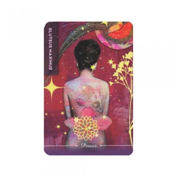 Body Cards Taro Kortos Schiffer Publishing